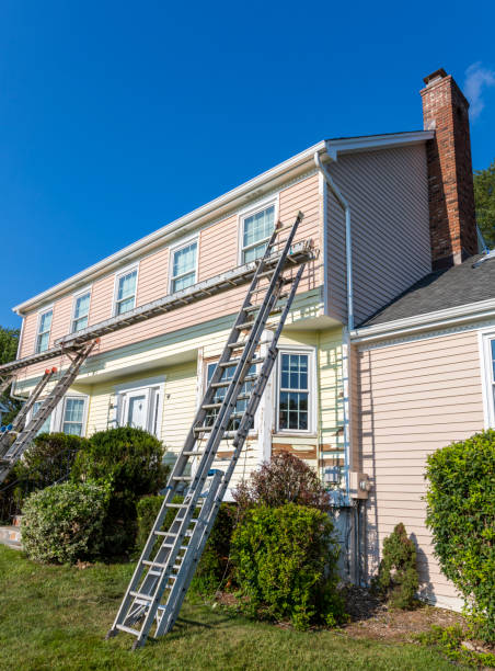 Best Construction Debris Removal  in Black Rock, NM