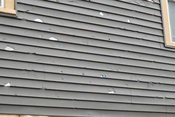 Best Dumpster Rental Services  in Black Rock, NM